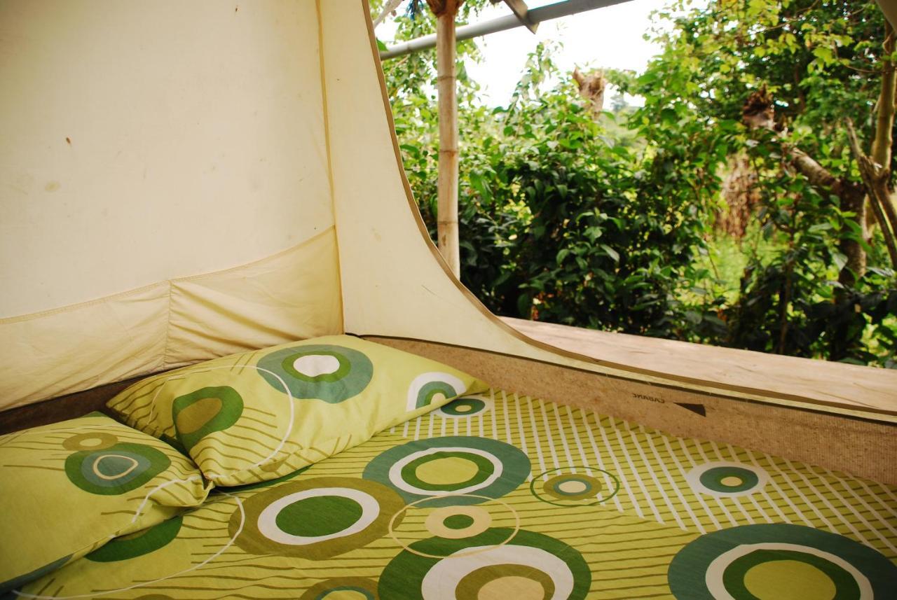 מומפיצ'ה Maracumbo Lodge מראה חיצוני תמונה