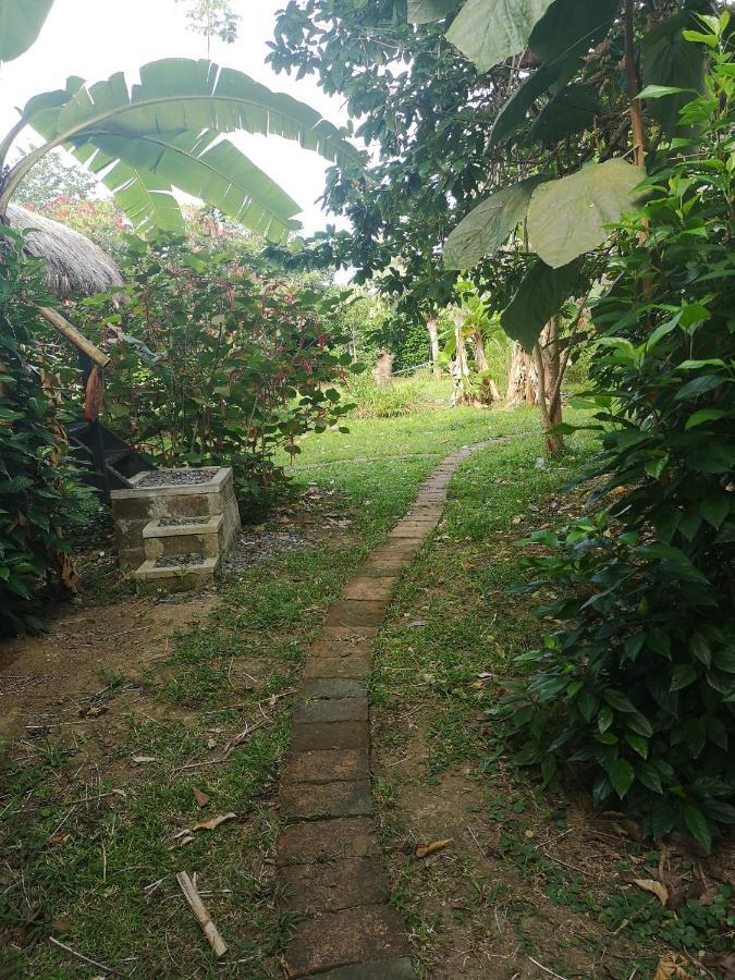 מומפיצ'ה Maracumbo Lodge מראה חיצוני תמונה